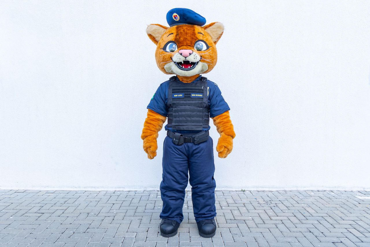 Ludi é o nome escolhido para a mascote do Ludicidadania